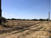 Moara Vlasiei - langa Padurea Biglaru, 11.884 mp, deschid... 