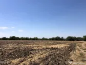 Moara Vlasiei - langa Padurea Biglaru, 11.884 mp, deschid... 