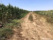 Moara Vlasiei - langa Padurea Biglaru, 11.884 mp, deschid... 