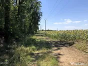 Moara Vlasiei - langa Padurea Biglaru, 11.884 mp, deschid... 