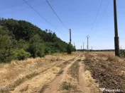 Moara Vlasiei - langa Padurea Biglaru, 11.884 mp, deschid... 