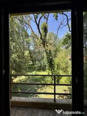 Casa cu teren generos – refugiul perfect în Paltinoasa... 