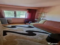2 camere in zona Aradului