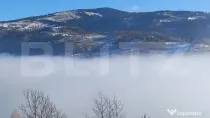 Teren de vânzare în Munții Apuseni – 10.831 mp, zonă m