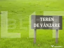 Teren intravilan, 20 000 mp, Torontalului