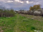 Teren Topoloveni - 3670 mp - langa padure, aproape de Centru 