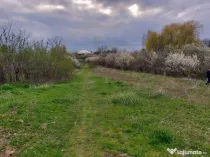 Teren Topoloveni - 3670 mp - langa padure, aproape de Centru