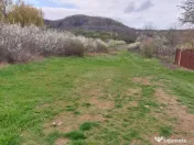 Teren Topoloveni - 3670 mp - langa padure, aproape de Centru 