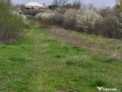 Teren Topoloveni - 3670 mp - langa padure, aproape de Centru 