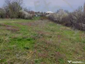 Teren Topoloveni - 3670 mp - langa padure, aproape de Centru 