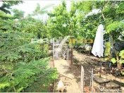 Vila P 1E, teren 500pm. Pescaria Lui Matei - 