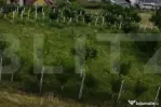 Teren intravilan – 730 mp – Zonă panoramică Aleea Trif
