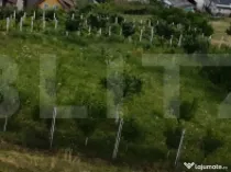 Teren intravilan – 730 mp – Zonă panoramică Aleea Trif