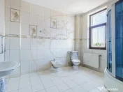 Locuință spectaculoasă cu potențial de business – 730 