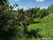 Casa de vanzare in Secuieni / Bacau 