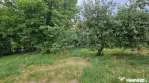 Teren intravilan 2,036mp Pădureni-Șendriceni, Botoșani