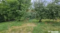 Teren intravilan 2,036mp Pădureni-Șendriceni, Botoșani