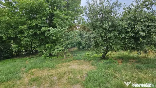 Teren intravilan 2,036mp Pădureni-Șendriceni, Botoșani