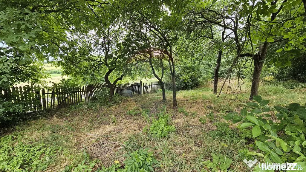 Teren intravilan 2,036mp Pădureni-Șendriceni, Botoșani