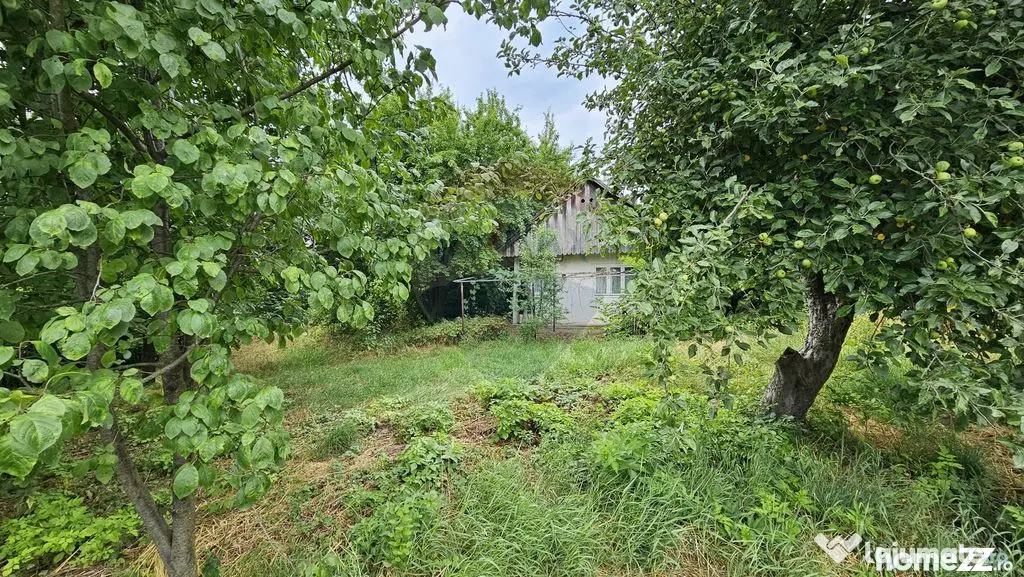 Teren intravilan 2,036mp Pădureni-Șendriceni, Botoșani