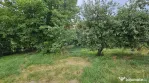 Teren intravilan 2,036mp Pădureni-Șendriceni, Botoșani
