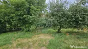 Teren intravilan 2,036mp Pădureni-Șendriceni, Botoșani 