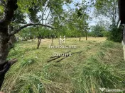 Casă de vânzare în Moisei, zonă turistică- 23 ari te... 