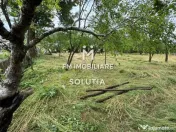 Casă de vânzare în Moisei, zonă turistică- 23 ari te... 