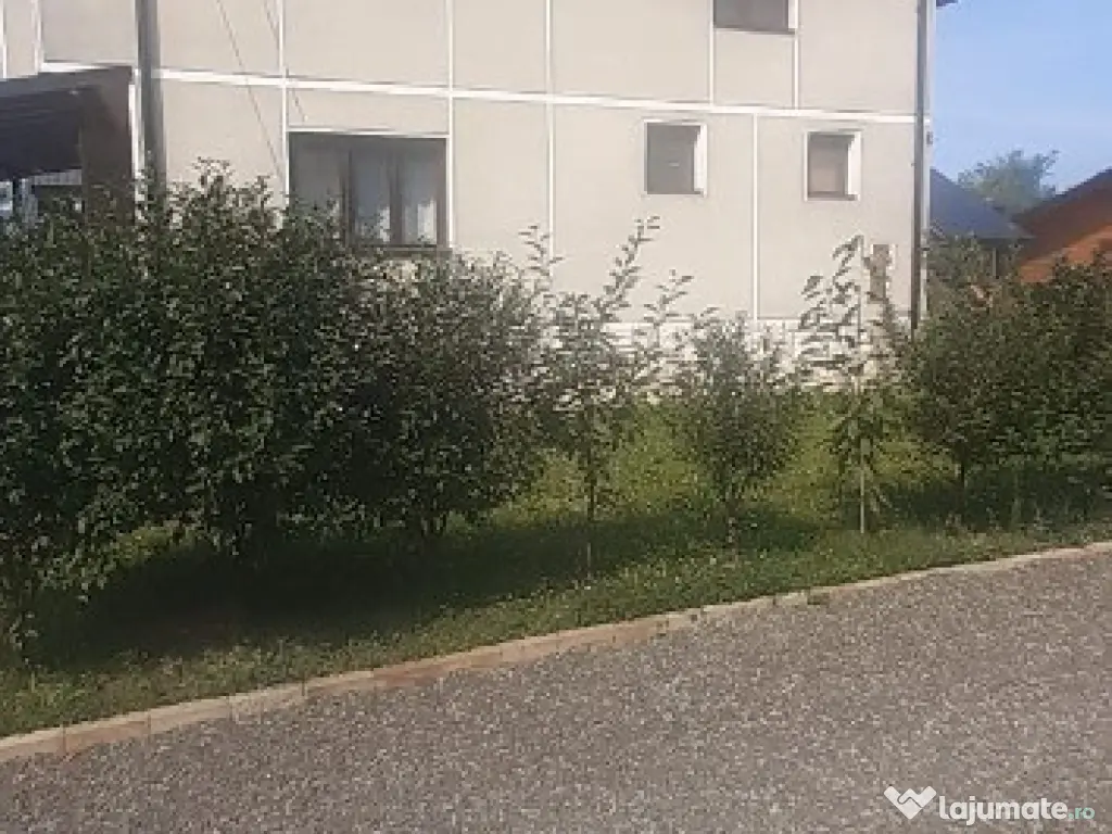 Sat Sasar, casa , 23 ari teren