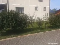 Sat Sasar, casa , 23 ari teren