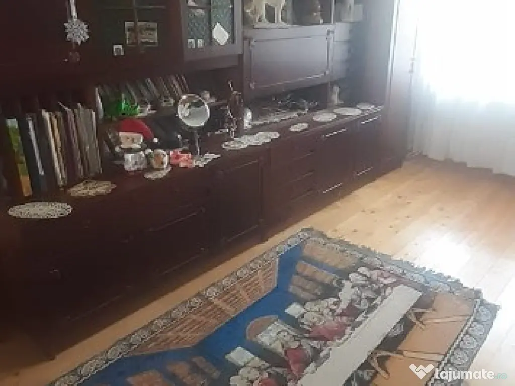 Sat Sasar, casa , 23 ari teren