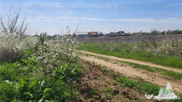 Teren 1171mp la intrare in Palanca langa Raul Sabar