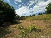 Teren extravilan de vanzare Crihan Bacau 