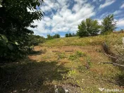 Teren extravilan de vanzare Crihan Bacau 