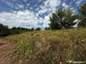 Teren extravilan de vanzare Crihan Bacau 