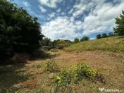 Teren extravilan de vanzare Crihan Bacau 