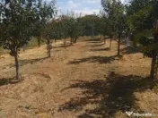 0% Comision - 2095 mp TEREN INTRAVILAN - SERBOENI ARGES 