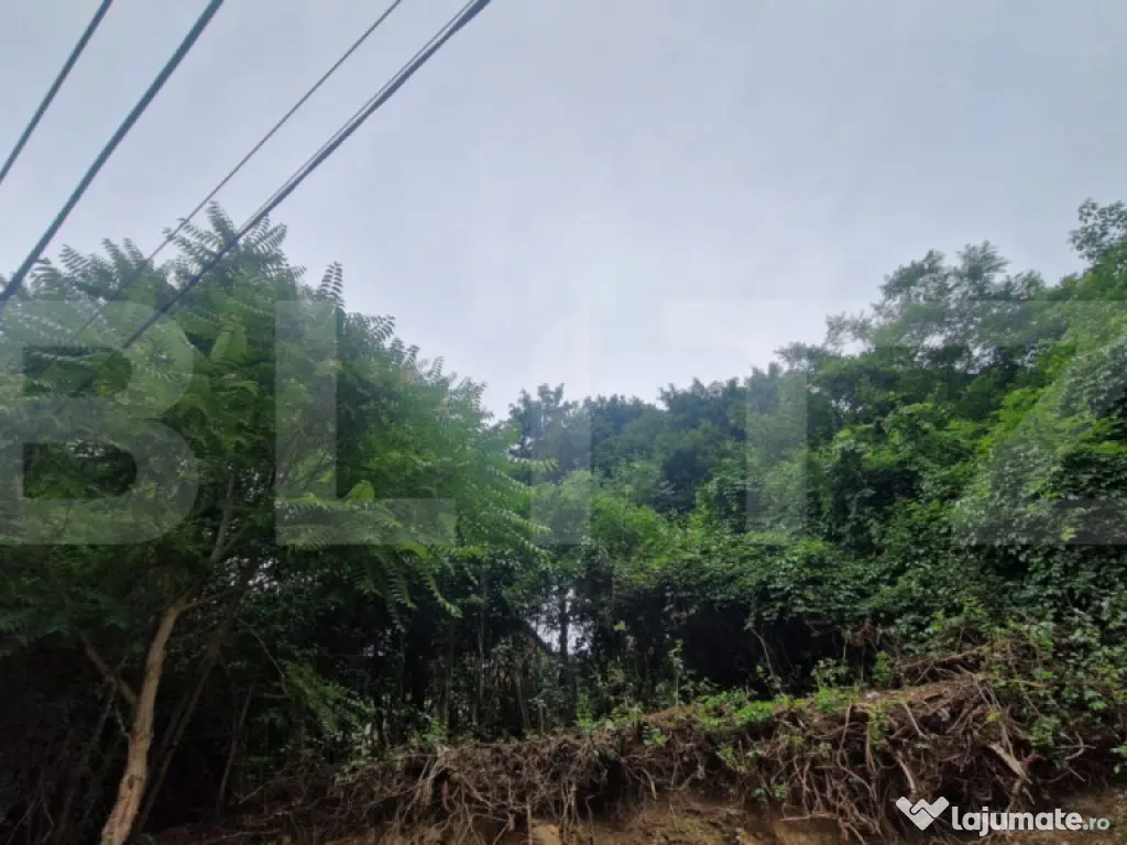 Casa in inimia Brasovului individuala la pret de apartament