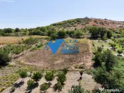 Casa cu teren in Telita - 3549MP - zona foarte frumoasa 