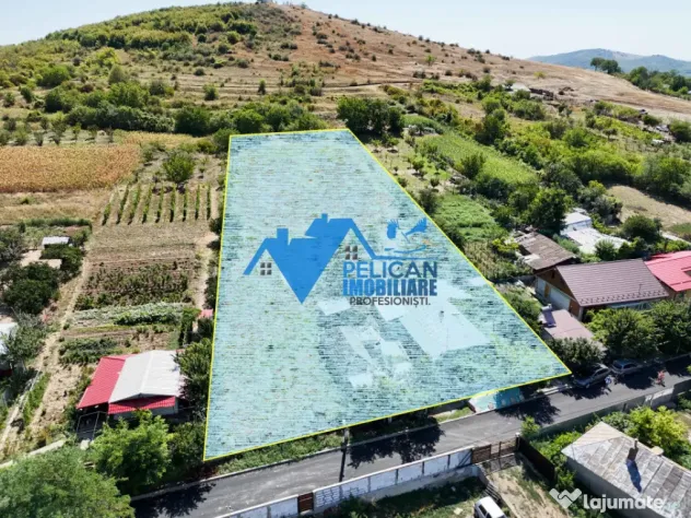 Casa cu teren in Telita - 3549MP - zona foarte frumoasa