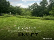 Teren intravilan, 600mp zona Turnisor