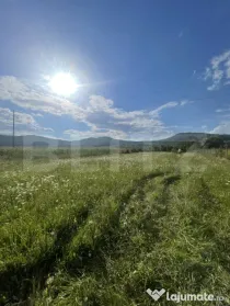 Teren intravilan Viișoara – ideal pentru casă sau invest