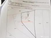 TEREN 2364 mp CASA VECHE | CAUASD | BIHOR 