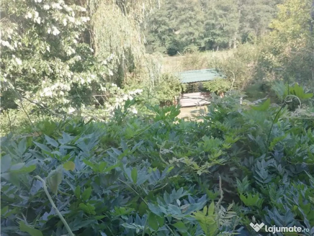 Casa de vacanta in Arges