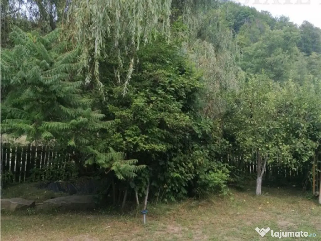 Casa de vacanta in Arges