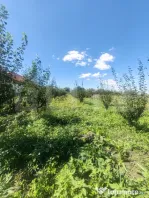 Căsuță tip foișor, 30 mp, pe un teren de 3.000 mp, veder