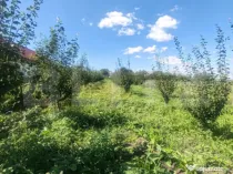 Căsuță tip foișor, 30 mp, pe un teren de 3.000 mp, veder