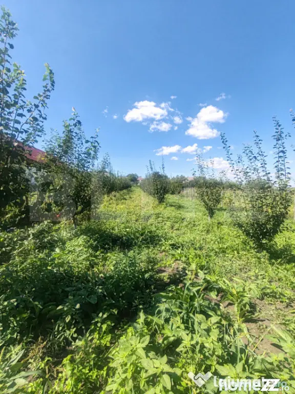 Căsuță tip foișor, 30 mp, pe un teren de 3.000 mp, veder - Suceava (Suceava)