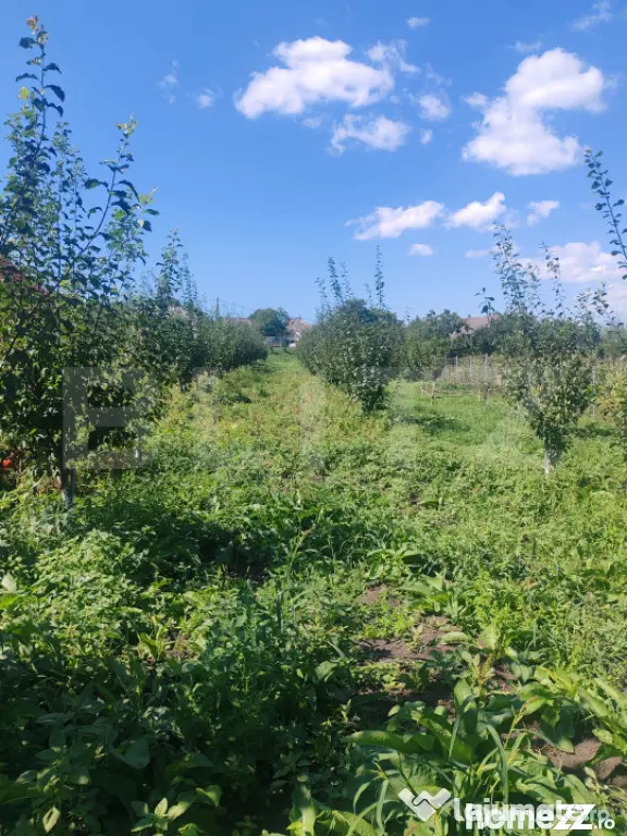 Căsuță tip foișor, 30 mp, pe un teren de 3.000 mp, veder - Suceava (Suceava)