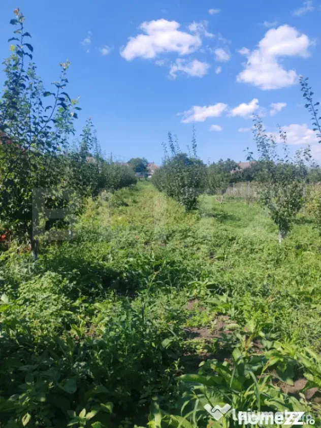 Căsuță tip foișor, 30 mp, pe un teren de 3.000 mp, veder - Suceava (Suceava)